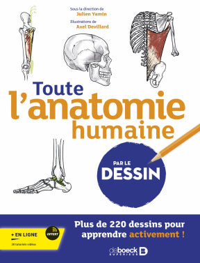 Apprendre l'anatomie, puis la comprendre