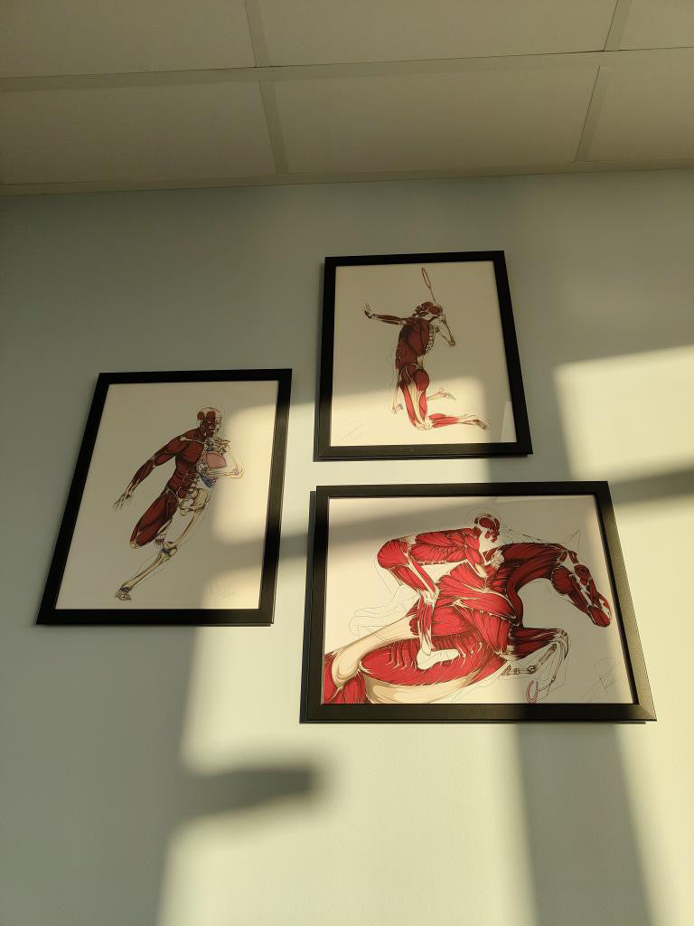 décoration cabinet médical