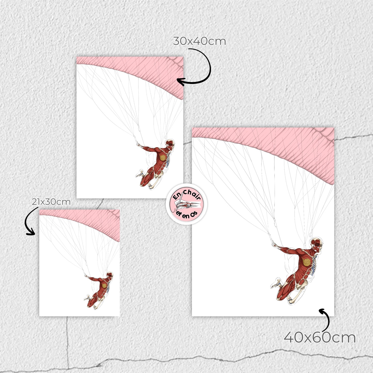 Poster anatomique parachute