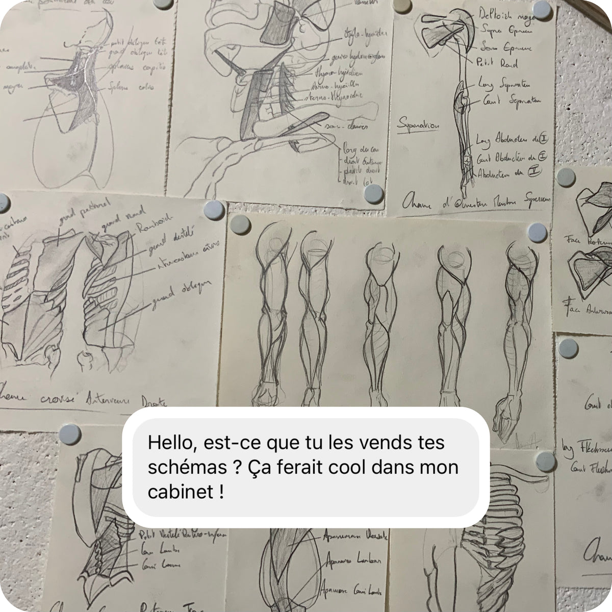 Apprendre à dessiner l'anatomie
