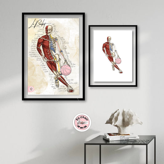 Quel poster anatomique choisir pour votre clinique ?