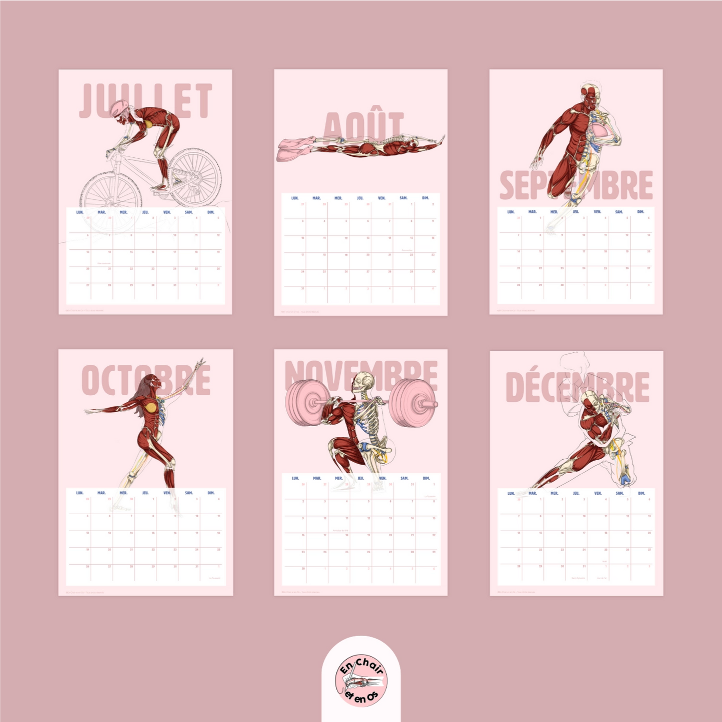 Anatomie du sport en chair et en os