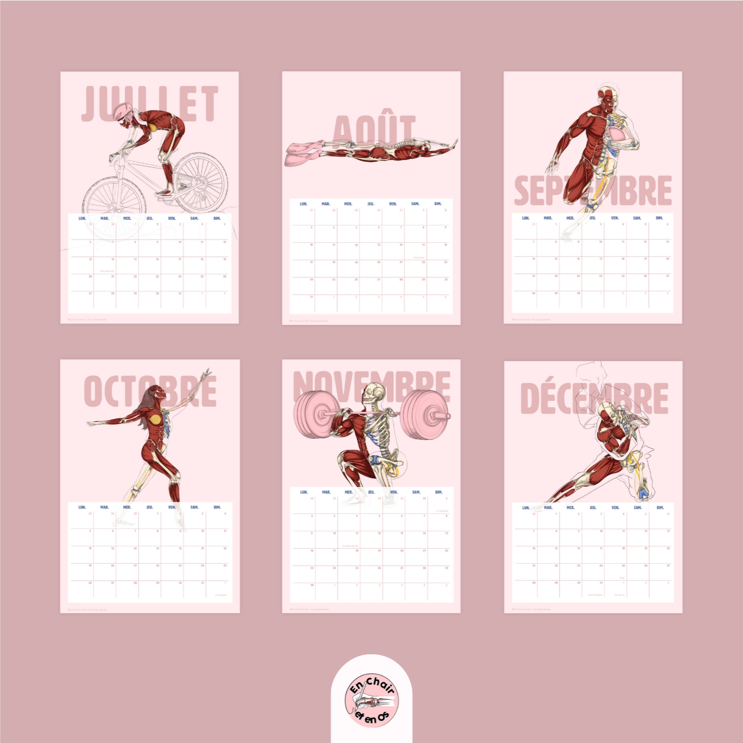 Anatomie du sport en chair et en os