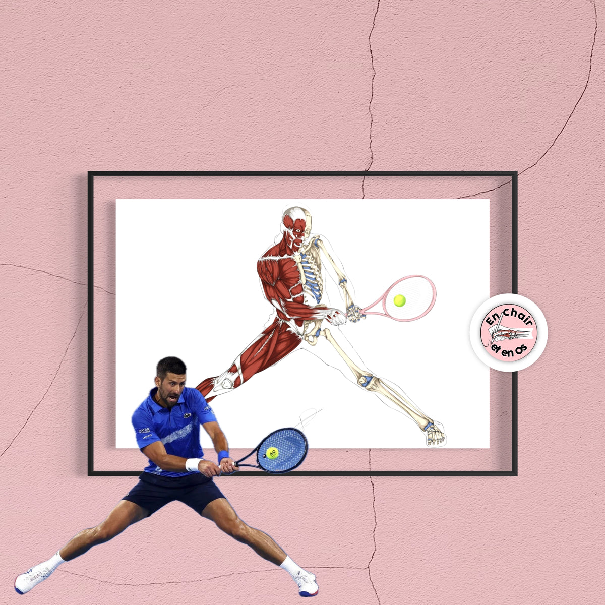 Écorché anatomique du tennisman Novak Djokovic, En Chair et en Os