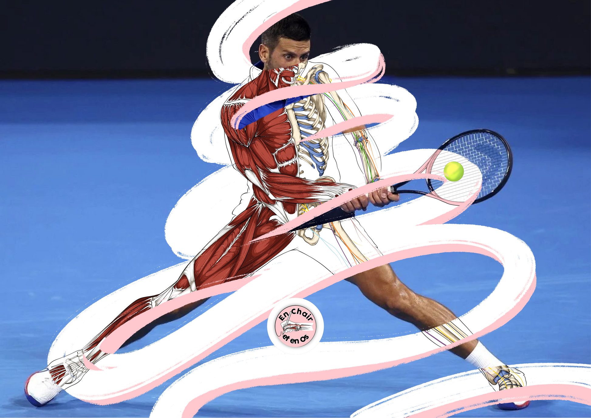 anatomie des muscles tennis djokovic