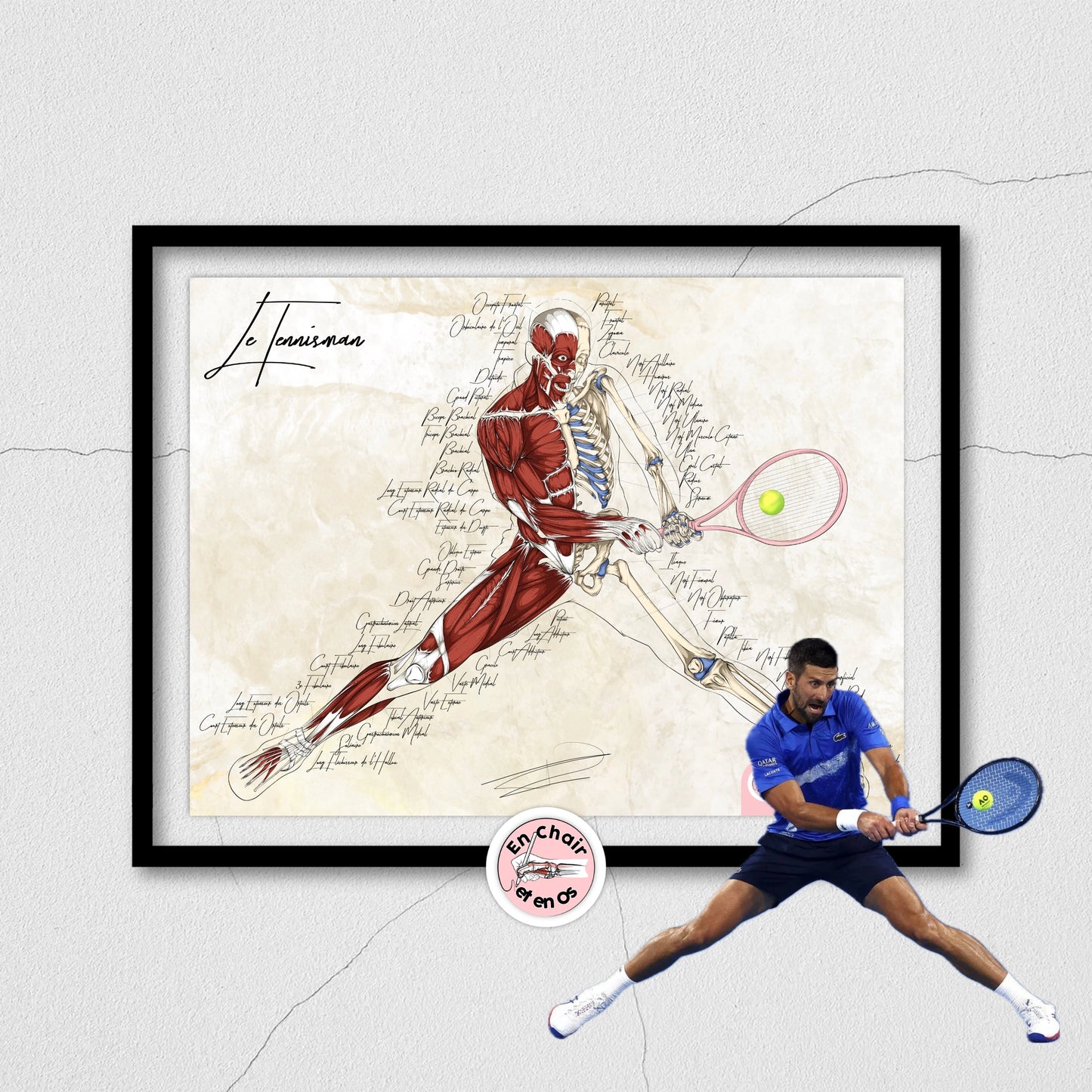 anatomie des muscles et squelette tennis djokovic en chair et en os