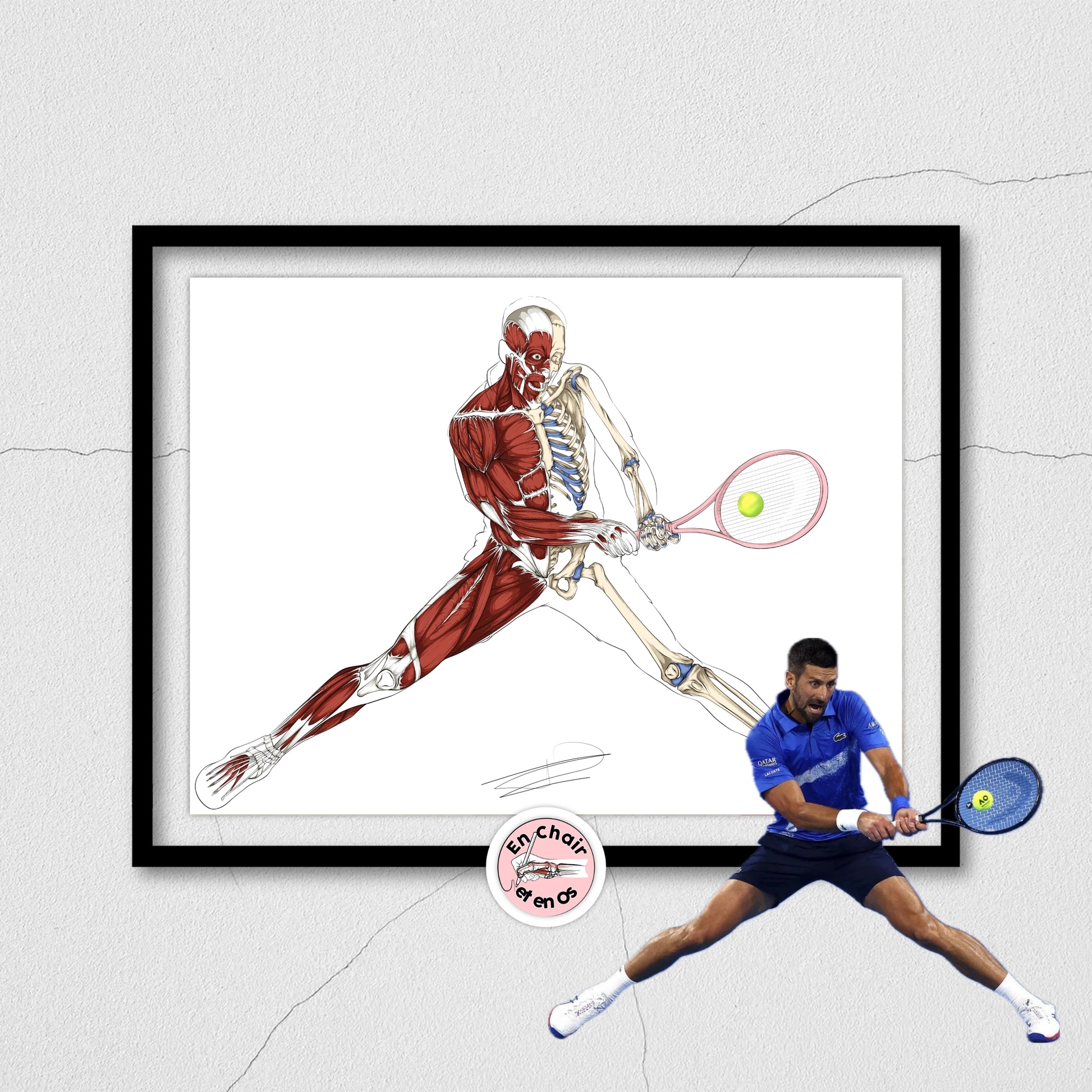 anatomie des muscles tennis djokovic en chair et en os