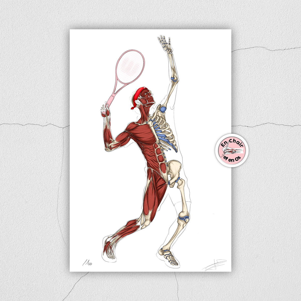 Ecorché anatomique du tennis En Chair et en Os décoration pour cabinet médical