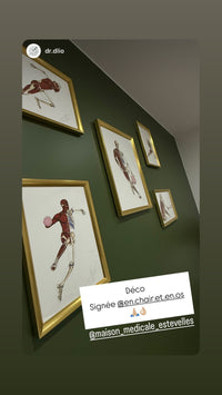 Écorchés de sportifs En Chair et en Os en cadres dorés sur un mur vert de maison médicale