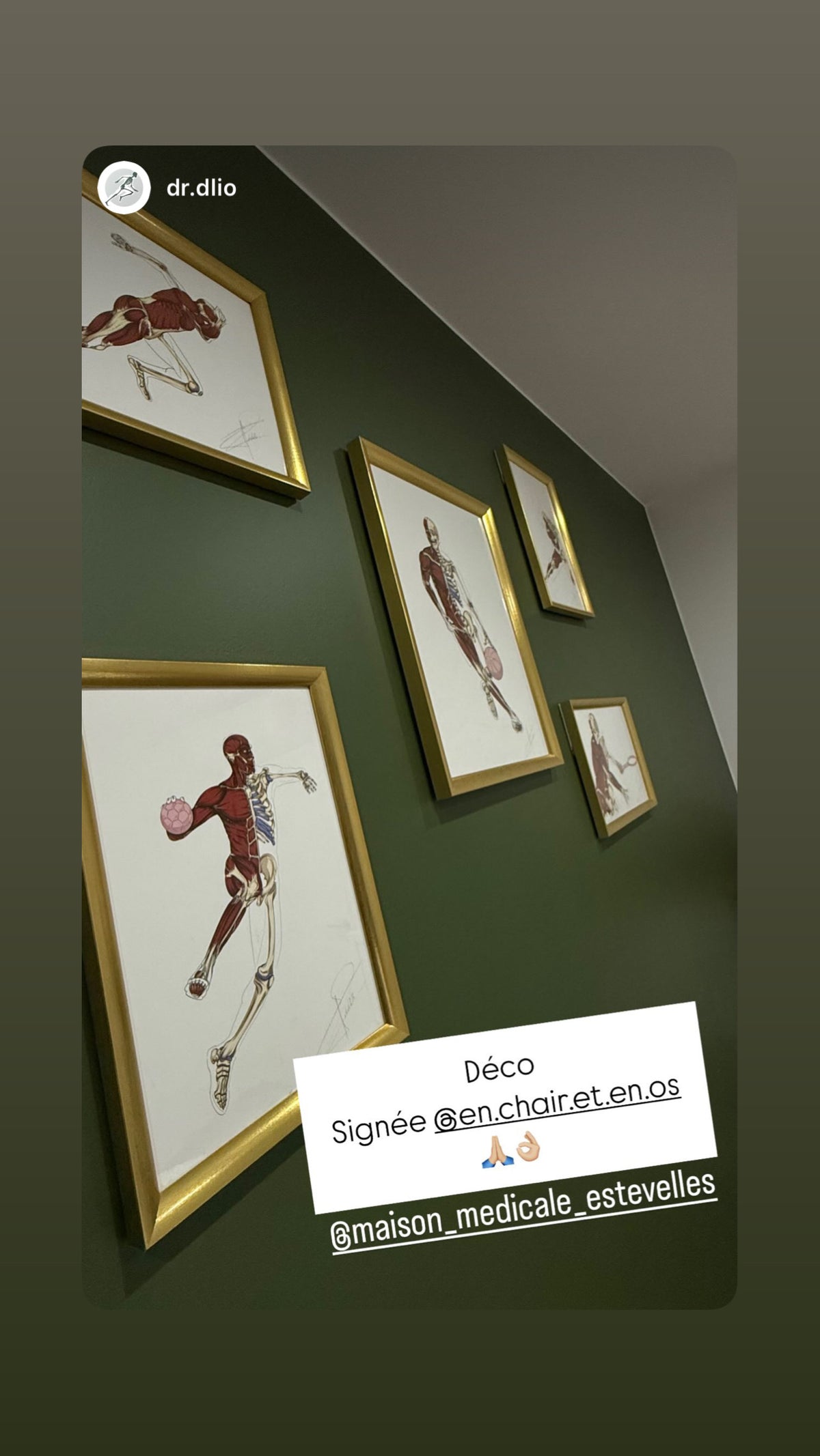 Écorchés de sportifs En Chair et en Os en cadres dorés sur un mur vert de maison médicale