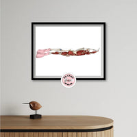 Planche anatomique natation 