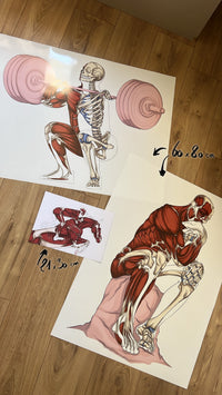 Poster anatomique de l'haltérophilie, le squat, En Chair et en Os