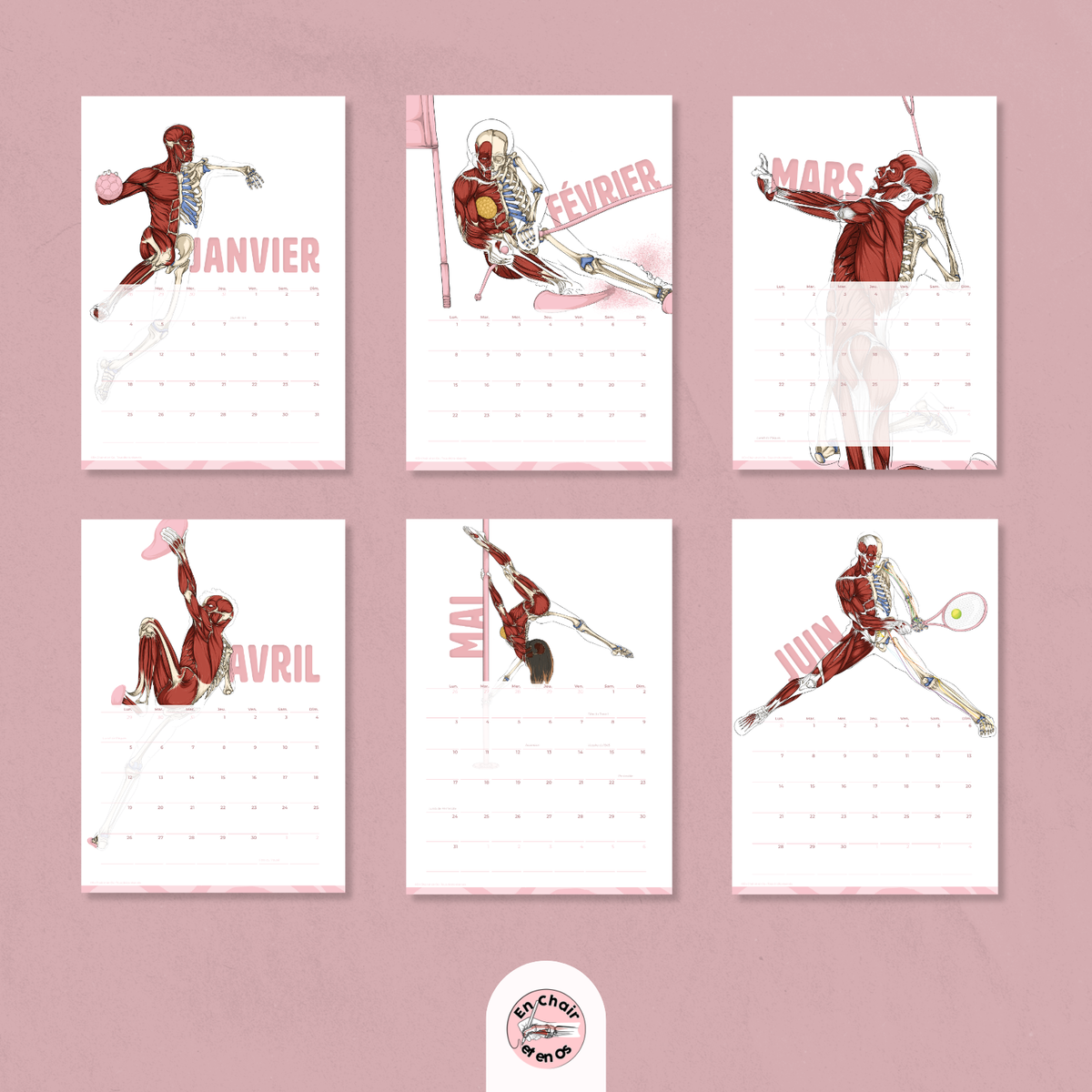 Calendrier mural A3 2027 : écorchés de sportifs de janvier à juin