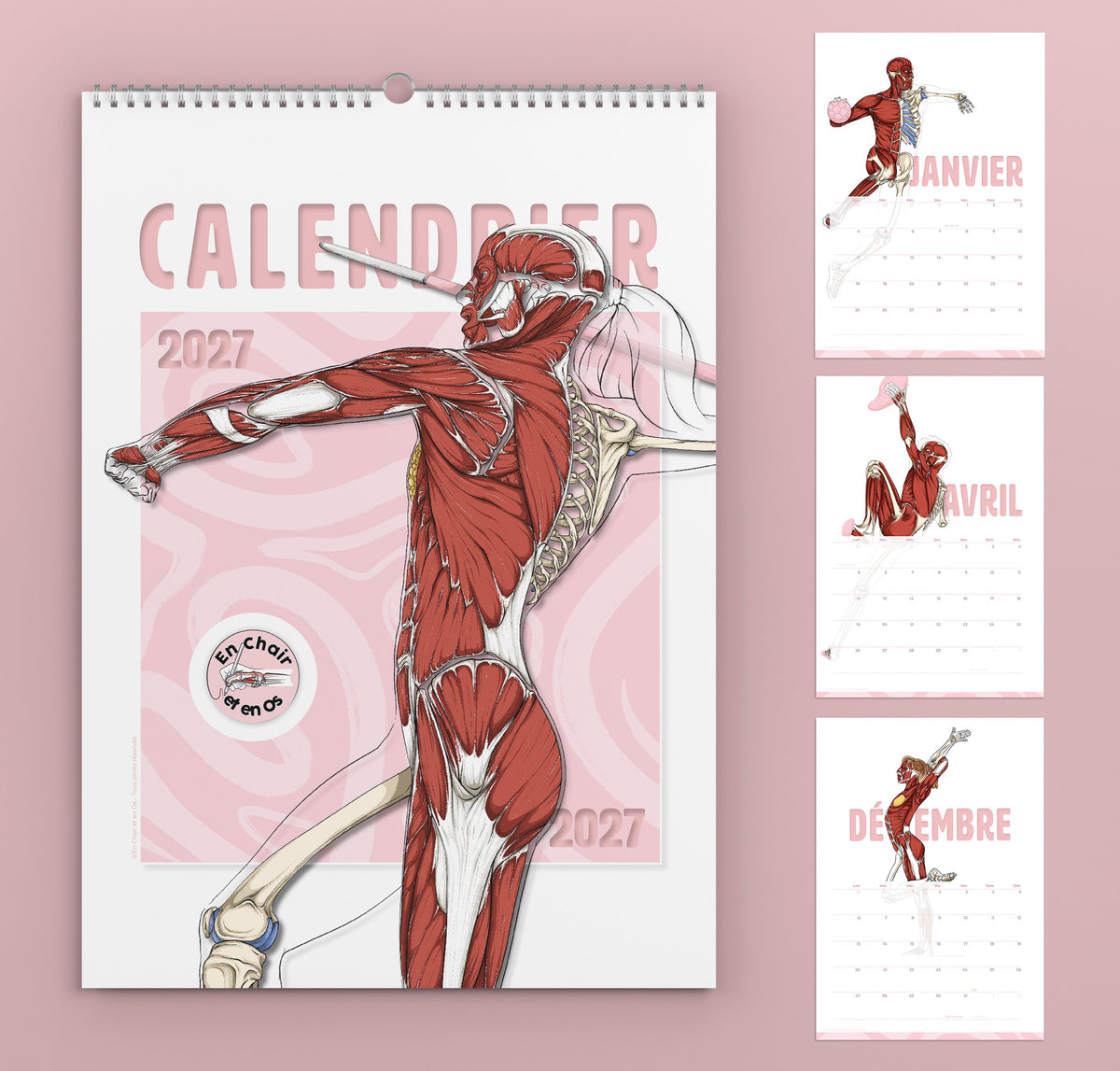 Calendrier anatomique 2027 En Chair et en Os, format mural A3, couverture et pages de janvier, avril et décembre