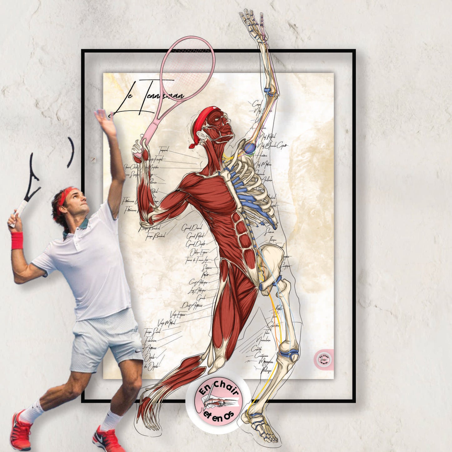 Planche anatomique du tennisman - Roger Federer