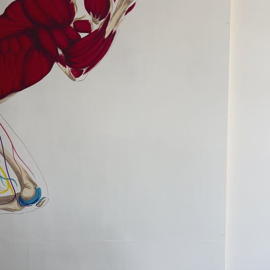 Décoration murale anatomique cabinet de podologie