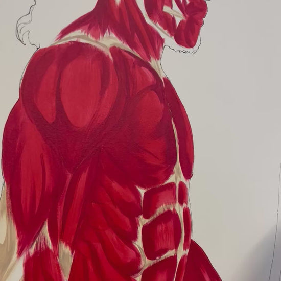 Fresque murale anatomique cabinet d'ostéopathie