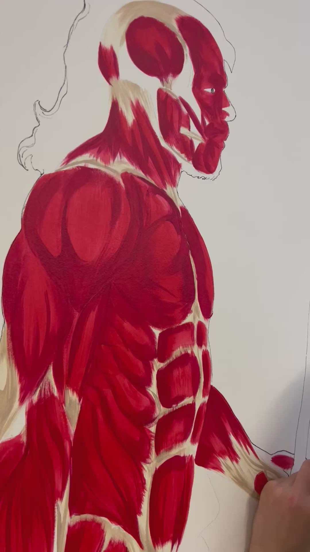 Fresque murale anatomique cabinet d'ostéopathie