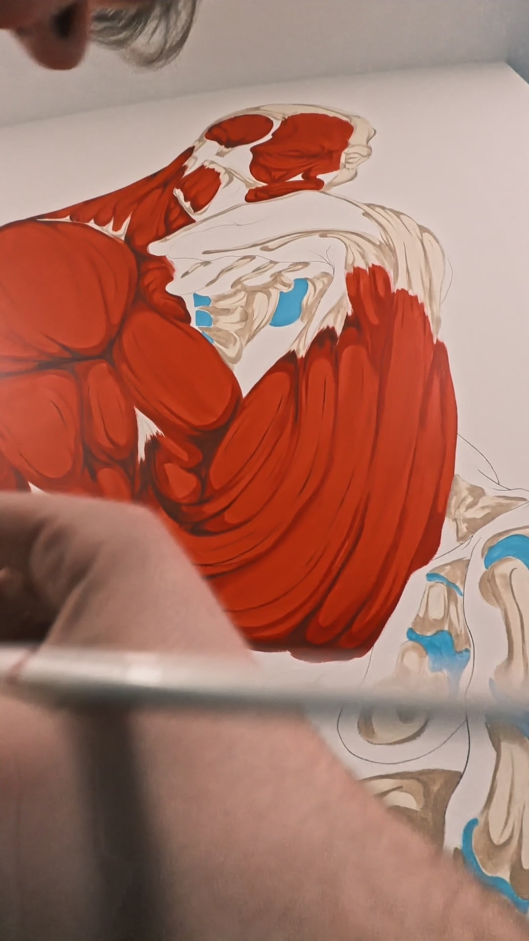 Décoration cabinet physiothérapie Suisse