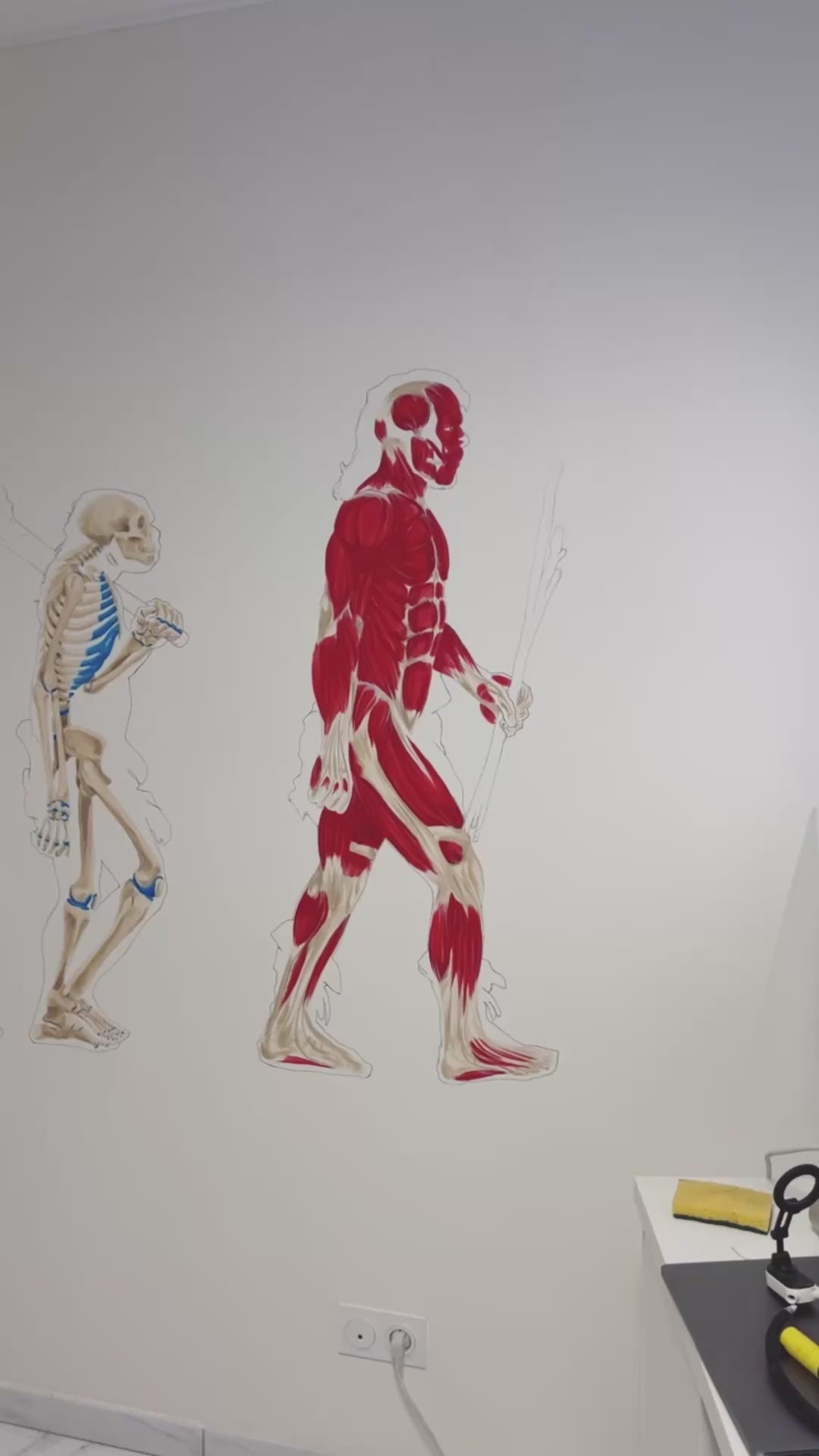 Fresque murale anatomie cabinet d'ostéopathie