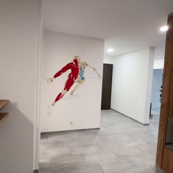 Décoration cabinet Physiothérapeute Suisse Lausanne